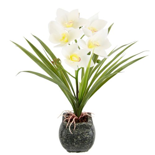 4019844799298 - Kunstblume MY HOME Orchidee Kunstpflanzen Gr B H L 35 cm x 40 cm x 25 cm 1 St beige (creme) Kunst-Blumen Mit Blätter im Topf aus Zement Künstliche Blume Cymbidium-Orchidee 4019844799298 - Kunstblume MY HOME Orchidee Kunstpflanzen Gr B H L 35 cm x 40 cm x 25 cm 1 St beige (creme) Kunst-Blumen Mit Blätter im Topf aus Zement Künstliche Blume Cymbidium-Orchidee