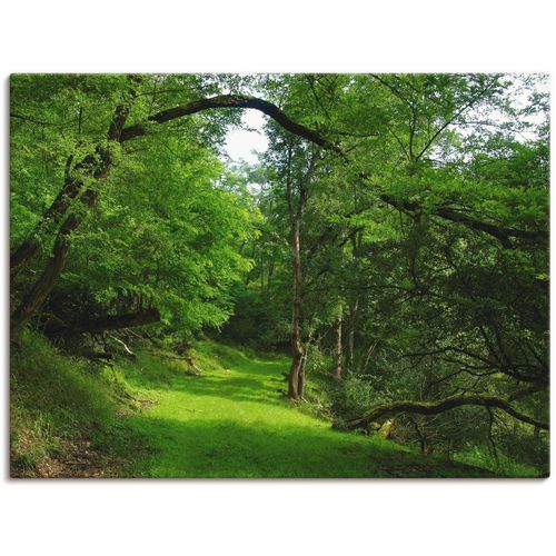 4055327306560 - Wandbild ARTLAND Grüner Weg durch den Wald Bilder Gr B H 120 cm x 90 cm Leinwandbild Wald 1 St grün Bild Kunstdruck Leinwandbild Kunstdrucke Bilder als Leinwandbild Wandaufkleber oder Poster in versch Größen 4055327306560 - Wandbild ARTLAND Grüner Weg durch den Wald Bilder Gr B H 120 cm x 90 cm Leinwandbild Wald 1 St grün Bild Kunstdruck Leinwandbild Kunstdrucke Bilder als Leinwandbild Wandaufkleber oder Poster in versch Größen