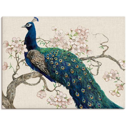 4058661322678 - Wandbild ARTLAND Pfau & Blüten II Bilder Gr B H 40 cm x 30 cm Leinwandbild Vögel Querformat 1 St beige (naturfarben) Bild Poster Bilder als Alubild Leinwandbild Wandaufkleber oder in versch Größen 4058661322678 - Wandbild ARTLAND Pfau & Blüten II Bilder Gr B H 40 cm x 30 cm Leinwandbild Vögel Querformat 1 St beige (naturfarben) Bild Poster Bilder als Alubild Leinwandbild Wandaufkleber oder in versch Größen