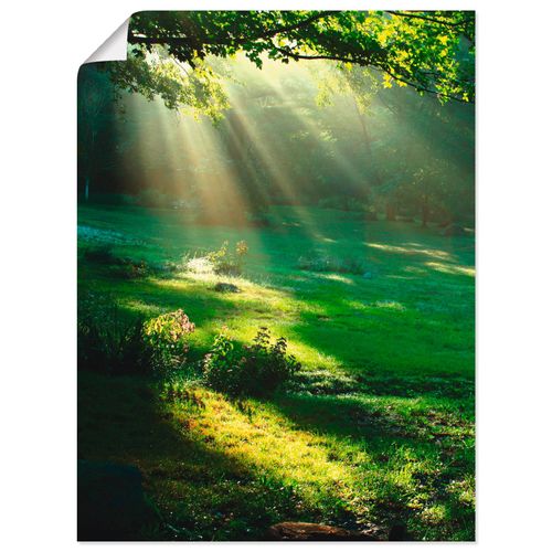 4055327640268 - Wandbild ARTLAND Lichtkegel Bilder Gr B H 60 cm x 80 cm Poster Wald Hochformat 1 St grün Bild Metallbild Metallbilder Bilder als Alubild Leinwandbild Wandaufkleber oder Poster in versch Größen 4055327640268 - Wandbild ARTLAND Lichtkegel Bilder Gr B H 60 cm x 80 cm Poster Wald Hochformat 1 St grün Bild Metallbild Metallbilder Bilder als Alubild Leinwandbild Wandaufkleber oder Poster in versch Größen