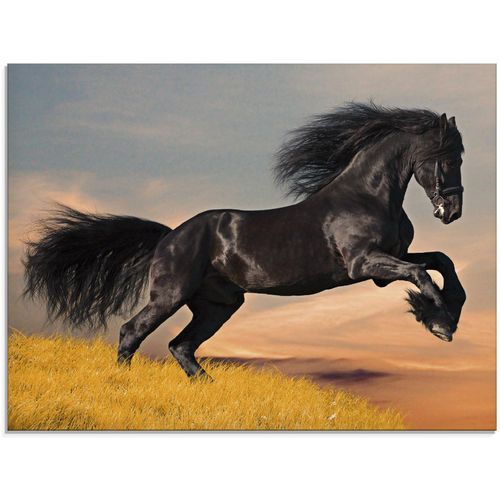 4055327048446 - Glasbild ARTLAND Friesischer Hengstgalopp Bilder Gr B H 80 cm x 60 cm Glasbild Haustiere 1 St schwarz Glasbilder in verschiedenen Größen 4055327048446 - Glasbild ARTLAND Friesischer Hengstgalopp Bilder Gr B H 80 cm x 60 cm Glasbild Haustiere 1 St schwarz Glasbilder in verschiedenen Größen