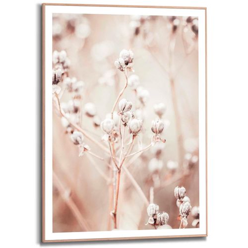 8714597626131 - Poster REINDERS Getrockneter Zweig beige (farbe bild(er) beige) B50cm H70cm T16cm MDF Bilder