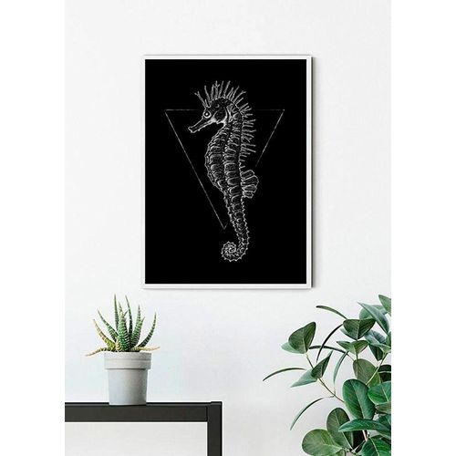 4055065152351 - Bild KOMAR Sea Horse Black bunt (farbe bild(er) bunt) B40cm H50cm Papier Holz Bilder Wandbild zur Dekoration - ohne Rahmen 4055065152351 - Bild KOMAR Sea Horse Black bunt (farbe bild(er) bunt) B40cm H50cm Papier Holz Bilder Wandbild zur Dekoration - ohne Rahmen