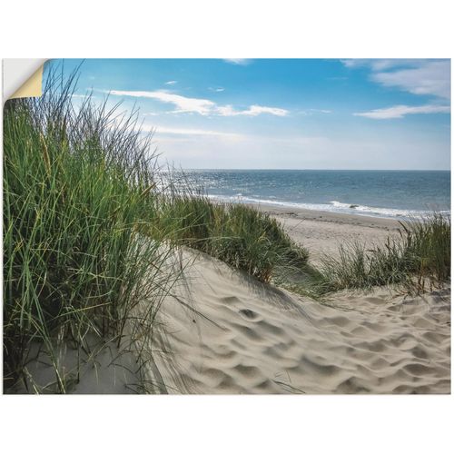 4059745664899 - Wandbild ARTLAND Dünenlandschaft im Sommer an der Nordsee Bilder Gr B H 60 cm x 45 cm Wandaufkleber - Vinyl Strand 1 St grün Bild Kunstdruck Kunstdrucke Bilder als Alubild Leinwandbild Wandaufkleber oder Poster in versch Größen 4059745664899 - Wandbild ARTLAND Dünenlandschaft im Sommer an der Nordsee Bilder Gr B H 60 cm x 45 cm Wandaufkleber - Vinyl Strand 1 St grün Bild Kunstdruck Kunstdrucke Bilder als Alubild Leinwandbild Wandaufkleber oder Poster in versch Größen