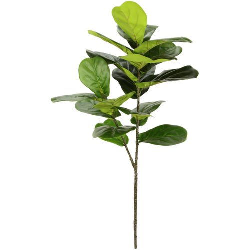 4019844761523 - Kunstblume IGEA Feigenblattzweig grün B45cm H113cm Obermaterial 95% Polyester 5% Kunststoff Kunstpflanzen 4019844761523 - Kunstblume IGEA Feigenblattzweig grün B45cm H113cm Obermaterial 95% Polyester 5% Kunststoff Kunstpflanzen