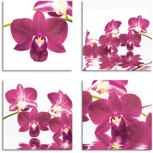 4058661302274 - Leinwandbild ARTLAND Phalaenopsis Orchidee Bilder Gr B H 20 cm x 20 cm Leinwandbild Blumen quadratisch 4 St pink Bild Leinwandbild Leinwandbilder Bilder 4er Set verschiedene Größen 4058661302274 - Leinwandbild ARTLAND Phalaenopsis Orchidee Bilder Gr B H 20 cm x 20 cm Leinwandbild Blumen quadratisch 4 St pink Bild Leinwandbild Leinwandbilder Bilder 4er Set verschiedene Größen