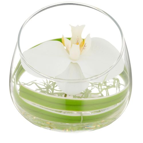 4064118325604 - Kunstblume CREATIV GREEN Glasgefäß mit Orchideenblüte weiß H12cm Kunststoff Kunstpflanzen als elegantes Arrangement 4064118325604 - Kunstblume CREATIV GREEN Glasgefäß mit Orchideenblüte weiß H12cm Kunststoff Kunstpflanzen als elegantes Arrangement