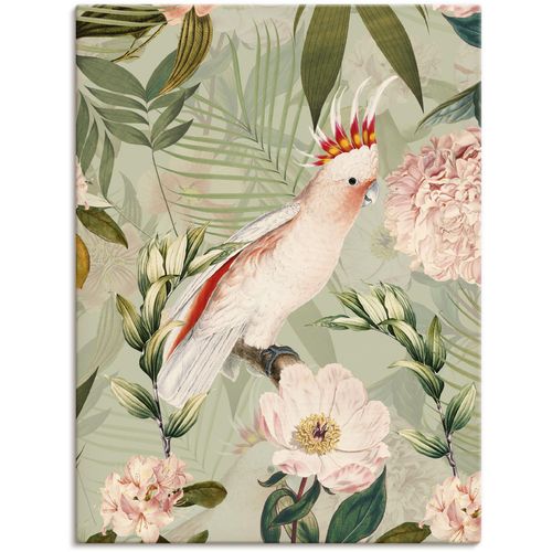 4062144648315 - Wandbild ARTLAND Vintage Papagei Bilder Gr B H 30 cm x 40 cm Leinwandbild Vogelbilder Hochformat 1 St grün Kunstdrucke als Alubild Leinwandbild Wandaufkleber oder Poster in versch Größen 4062144648315 - Wandbild ARTLAND Vintage Papagei Bilder Gr B H 30 cm x 40 cm Leinwandbild Vogelbilder Hochformat 1 St grün Kunstdrucke als Alubild Leinwandbild Wandaufkleber oder Poster in versch Größen