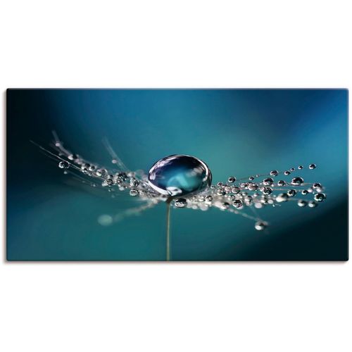 4062144595848 - Wandbild ARTLAND Pusteblume Tautropfen blau Bilder Gr B H 100 cm x 50 cm Leinwandbild Blumenbilder Querformat 1 St blau Kunstdrucke als Alubild Leinwandbild Wandaufkleber oder Poster in versch Größen 4062144595848 - Wandbild ARTLAND Pusteblume Tautropfen blau Bilder Gr B H 100 cm x 50 cm Leinwandbild Blumenbilder Querformat 1 St blau Kunstdrucke als Alubild Leinwandbild Wandaufkleber oder Poster in versch Größen