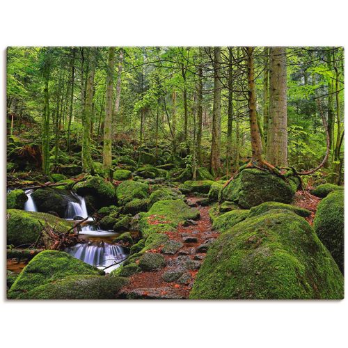 4055327634564 - Wandbild ARTLAND Zauberwald Bilder Gr B H 80 cm x 60 cm Leinwandbild Wald 1 St grün Bild Kunstdruck Poster Bilder als Leinwandbild Wandaufkleber oder in versch Größen