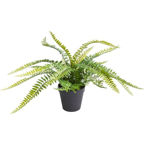 8714344323351 - Künstliche Zimmerpflanze BOTANIC-HAUS Farn mit 18 Blättern Kunstpflanzen Gr Ø H 47 cm x 28 cm 1 St grün Künstliche Zimmerpflanze Zimmerpflanzen 8714344323351 - Künstliche Zimmerpflanze BOTANIC-HAUS Farn mit 18 Blättern Kunstpflanzen Gr Ø H 47 cm x 28 cm 1 St grün Künstliche Zimmerpflanze Zimmerpflanzen