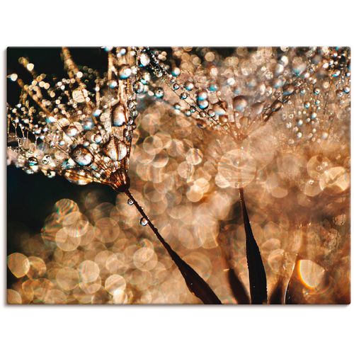4057738609544 - Wandbild ARTLAND Pusteblume Goldschimmer Bilder Gr B H 120 cm x 90 cm Leinwandbild Blumen 1 St goldfarben Bild Kunstdruck Metallbild Metallbilder Bilder als Alubild Leinwandbild Wandaufkleber oder Poster in versch Größen