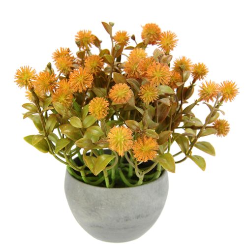 4019844794149 - Kunstpflanze IGEA Margerite im Topf Kunstpflanzen Gr B H L 20 cm x 23 cm x 20 cm 1 St orange Weitere Weihnachtsdeko Künstliche Blumen Blütenbusch Busch Tischdeko Pflanze Kunstblumen Deko 4019844794149 - Kunstpflanze IGEA Margerite im Topf Kunstpflanzen Gr B H L 20 cm x 23 cm x 20 cm 1 St orange Weitere Weihnachtsdeko Künstliche Blumen Blütenbusch Busch Tischdeko Pflanze Kunstblumen Deko