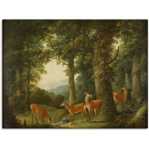 4055327103114 - Wandbild ARTLAND Waldlandschaft mit Rotwild Um 1760 70 Bilder Gr B H 80 cm x 60 cm Leinwandbild Wald 1 St grün Bild Poster Bilder als Leinwandbild Wandaufkleber oder in versch Größen 4055327103114 - Wandbild ARTLAND Waldlandschaft mit Rotwild Um 1760 70 Bilder Gr B H 80 cm x 60 cm Leinwandbild Wald 1 St grün Bild Poster Bilder als Leinwandbild Wandaufkleber oder in versch Größen