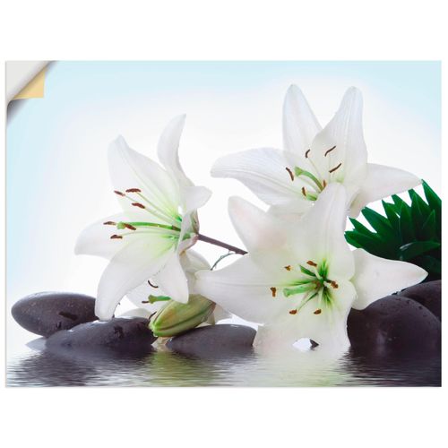4057738286530 - Wandbild ARTLAND Madonna-Lilien und Spasteine Bilder Gr B H 40 cm x 30 cm Wandaufkleber - Vinyl Zen Querformat 1 St weiß Bild Leinwandbild Kunstdrucke Bilder als Alubild Leinwandbild Wandaufkleber oder Poster in versch Größen 4057738286530 - Wandbild ARTLAND Madonna-Lilien und Spasteine Bilder Gr B H 40 cm x 30 cm Wandaufkleber - Vinyl Zen Querformat 1 St weiß Bild Leinwandbild Kunstdrucke Bilder als Alubild Leinwandbild Wandaufkleber oder Poster in versch Größen