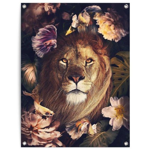 8714597638264 - Poster REINDERS Dschungel-Löwe braun (farbe bild(er) braun) B60cm H80cm T01cm Leinwand Bilder Outdoor für Garten oder Balkon 8714597638264 - Poster REINDERS Dschungel-Löwe braun (farbe bild(er) braun) B60cm H80cm T01cm Leinwand Bilder Outdoor für Garten oder Balkon