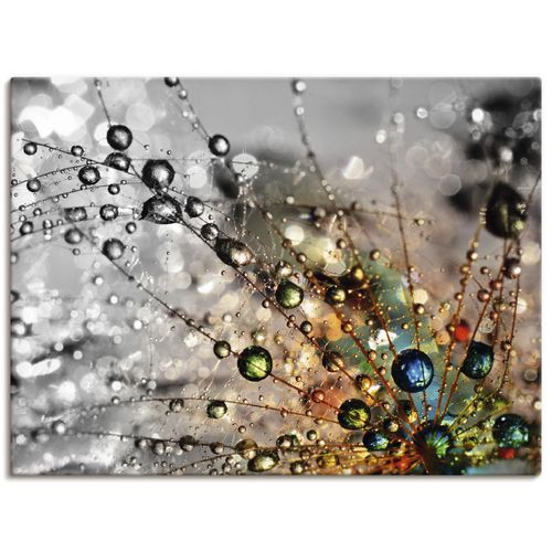 4059745811347 - Wandbild ARTLAND Farbenfrohe Natur Bilder Gr B H 80 cm x 60 cm Leinwandbild Blumen Querformat 1 St bunt Bild Poster Bilder als Alubild Leinwandbild Wandaufkleber oder in versch Größen 4059745811347 - Wandbild ARTLAND Farbenfrohe Natur Bilder Gr B H 80 cm x 60 cm Leinwandbild Blumen Querformat 1 St bunt Bild Poster Bilder als Alubild Leinwandbild Wandaufkleber oder in versch Größen