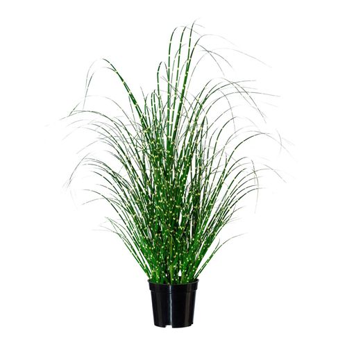 4003529169445 - Kunstgras GASPER grün (grün weiß) B35cm H58cm T35cm Kunststoff Kunstpflanzen 4003529169445 - Kunstgras GASPER grün (grün weiß) B35cm H58cm T35cm Kunststoff Kunstpflanzen