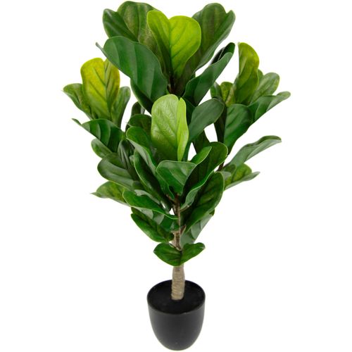 4019844797867 - Kunstpflanze IGEA Künstliche Pflanze Feigenbaum Zimmerpflanze Grünpflanze Kunstpflanzen Gr B H L 36 cm x 64 cm x 36 cm 1 St grün Künstliche Zimmerpflanzen Kunstbaum Feigenblattpflanze Feigenbaum Pflanze Dekopflanze 4019844797867 - Kunstpflanze IGEA Künstliche Pflanze Feigenbaum Zimmerpflanze Grünpflanze Kunstpflanzen Gr B H L 36 cm x 64 cm x 36 cm 1 St grün Künstliche Zimmerpflanzen Kunstbaum Feigenblattpflanze Feigenbaum Pflanze Dekopflanze