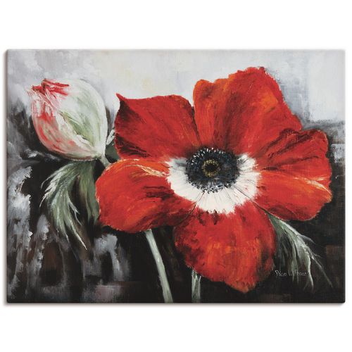 4055327461030 - Wandbild ARTLAND Mohnblumen in voller Blüte Bilder Gr B H 80 cm x 60 cm Leinwandbild Blumen Querformat 1 St rot Bild Poster Bilder als Leinwandbild Wandaufkleber oder in versch Größen 4055327461030 - Wandbild ARTLAND Mohnblumen in voller Blüte Bilder Gr B H 80 cm x 60 cm Leinwandbild Blumen Querformat 1 St rot Bild Poster Bilder als Leinwandbild Wandaufkleber oder in versch Größen