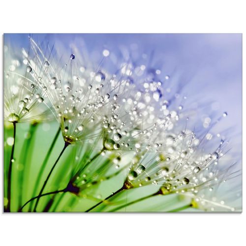 4058661673398 - Glasbild ARTLAND Glitzernde Pusteblume Bilder Gr B H 60 cm x 45 cm Glasbild Blumen Querformat 1 St blau Bild Glasbild Glasbilder Bilder in verschiedenen Größen 4058661673398 - Glasbild ARTLAND Glitzernde Pusteblume Bilder Gr B H 60 cm x 45 cm Glasbild Blumen Querformat 1 St blau Bild Glasbild Glasbilder Bilder in verschiedenen Größen