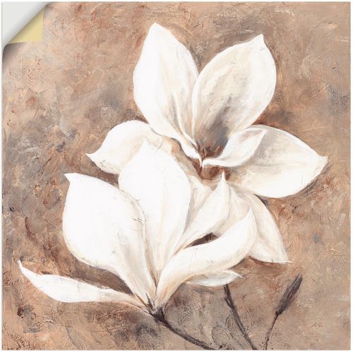 4057738181446 - Wandbild ARTLAND Klassische Magnolien Bilder Gr B H 50 cm x 50 cm Wandaufkleber - Vinyl Blumen 1 St beige (naturfarben) Bild Leinwandbild Kunstdrucke Bilder als Alubild Leinwandbild Wandaufkleber oder Poster in versch Größen 4057738181446 - Wandbild ARTLAND Klassische Magnolien Bilder Gr B H 50 cm x 50 cm Wandaufkleber - Vinyl Blumen 1 St beige (naturfarben) Bild Leinwandbild Kunstdrucke Bilder als Alubild Leinwandbild Wandaufkleber oder Poster in versch Größen