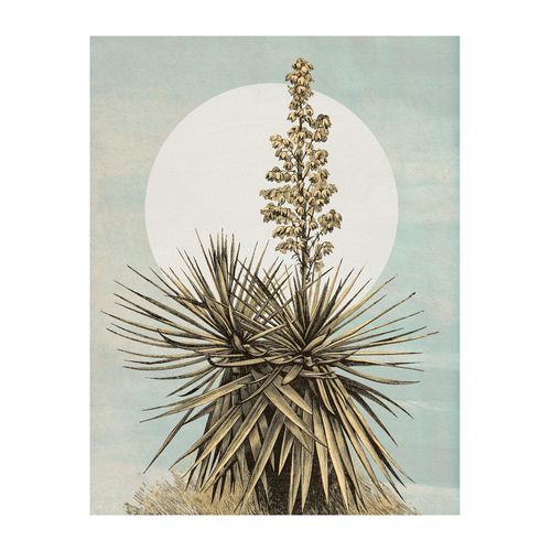 4055065179822 - Bild KOMAR Plans de Lagon bunt (farbe bild(er) bunt) B40cm H50cm Papier Holz Bilder Wandbild zur Dekoration - ohne Rahmen 4055065179822 - Bild KOMAR Plans de Lagon bunt (farbe bild(er) bunt) B40cm H50cm Papier Holz Bilder Wandbild zur Dekoration - ohne Rahmen