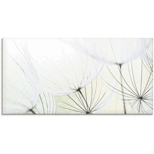 4059745300858 - Glasbild ARTLAND Pusteblumen-Samen aufgehellt Bilder Gr B H 100 cm x 50 cm Glasbild Blumen 1 St grün Glasbilder in verschiedenen Größen
