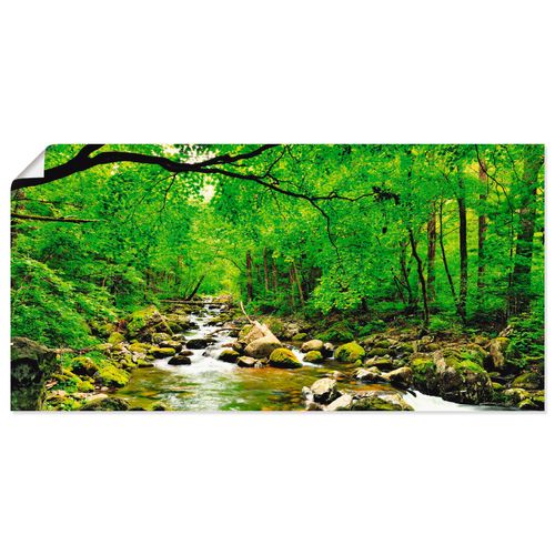 4055327420389 - Wandbild ARTLAND Herbstwald Fluss Smolny Bilder Gr B H 100 cm x 50 cm Poster Wald Querformat 1 St grün Bild Metallbild Metallbilder Bilder als Alubild Leinwandbild Wandaufkleber oder Poster in versch Größen 4055327420389 - Wandbild ARTLAND Herbstwald Fluss Smolny Bilder Gr B H 100 cm x 50 cm Poster Wald Querformat 1 St grün Bild Metallbild Metallbilder Bilder als Alubild Leinwandbild Wandaufkleber oder Poster in versch Größen