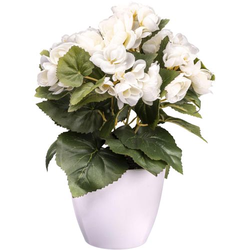 4064118241089 - Kunstblume CREATIV GREEN Begonie beige (creme) H28cm Kunststoff Kunstpflanzen mit farbenfrohen Blüten 4064118241089 - Kunstblume CREATIV GREEN Begonie beige (creme) H28cm Kunststoff Kunstpflanzen mit farbenfrohen Blüten