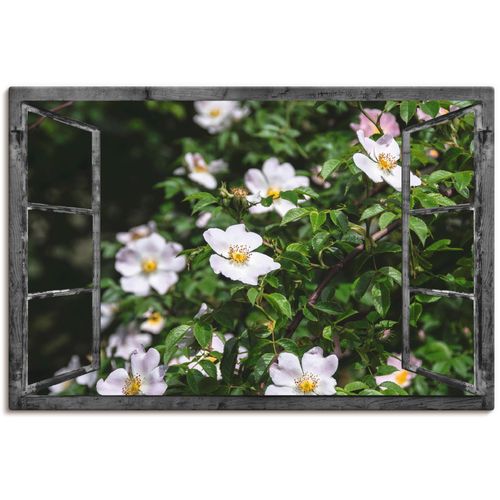 4058661283610 - Wandbild ARTLAND Fensterblick - Wildrosen Bilder Gr B H 90 cm x 60 cm Leinwandbild Fensterblick 1 St weiß Bild Kunstdruck Metallbild Metallbilder Bilder als Alubild Leinwandbild Wandaufkleber oder Poster in versch Größen 4058661283610 - Wandbild ARTLAND Fensterblick - Wildrosen Bilder Gr B H 90 cm x 60 cm Leinwandbild Fensterblick 1 St weiß Bild Kunstdruck Metallbild Metallbilder Bilder als Alubild Leinwandbild Wandaufkleber oder Poster in versch Größen