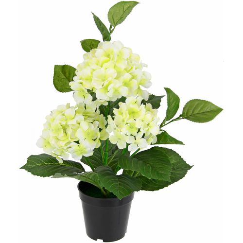 4019844802578 - Kunstblume IGEA Hortensien weiß B35cm H50cm L35cm Polyester Kunstpflanzen 4019844802578 - Kunstblume IGEA Hortensien weiß B35cm H50cm L35cm Polyester Kunstpflanzen