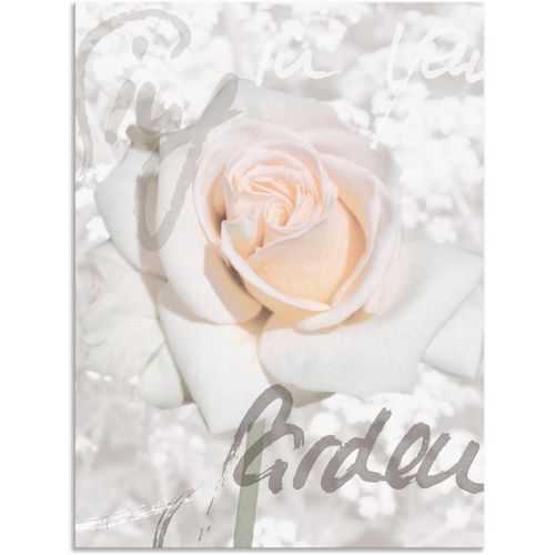 4057738410133 - Wandbild ARTLAND In Lettern - Rose Bilder Gr B H 45 cm x 60 cm Alu-Dibond-Druck Blumen 1 St weiß Bild Leinwandbild Kunstdrucke Bilder als Alubild Leinwandbild Wandaufkleber oder Poster in versch Größen 4057738410133 - Wandbild ARTLAND In Lettern - Rose Bilder Gr B H 45 cm x 60 cm Alu-Dibond-Druck Blumen 1 St weiß Bild Leinwandbild Kunstdrucke Bilder als Alubild Leinwandbild Wandaufkleber oder Poster in versch Größen