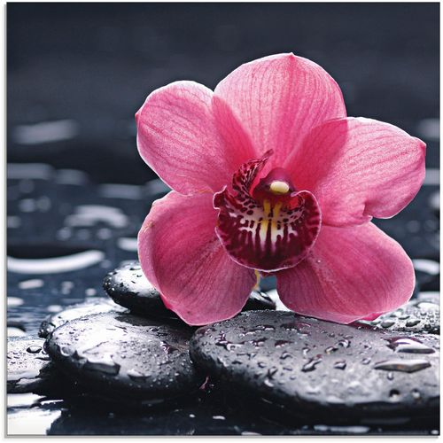 4055327021708 - Glasbild ARTLAND Stillleben mit Kiesel und einer Orchidee Bilder Gr B H 20 cm x 20 cm Blumen 1 St pink Glasbilder Bilder in verschiedenen Größen 4055327021708 - Glasbild ARTLAND Stillleben mit Kiesel und einer Orchidee Bilder Gr B H 20 cm x 20 cm Blumen 1 St pink Glasbilder Bilder in verschiedenen Größen