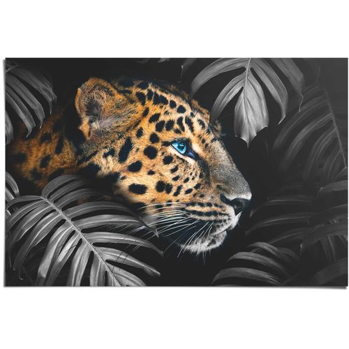 8714597587524 - Poster REINDERS Leopard Jungle - Eyecatcher - Tiermotiv - Modern bunt (farbe bild(er) mehrfarbig) B915cm H61cm Papier Bilder