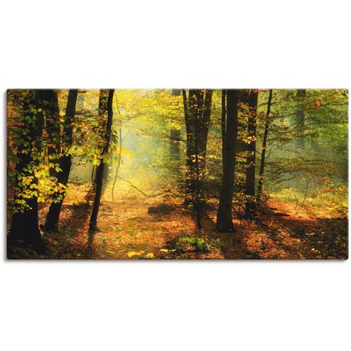 4055327304405 - Wandbild ARTLAND Herbstlicht im Wald Bilder Gr B H 100 cm x 50 cm Leinwandbild Wald 1 St grün Bild Kunstdruck Kunstdrucke Bilder als Leinwandbild Wandaufkleber oder Poster in versch Größen 4055327304405 - Wandbild ARTLAND Herbstlicht im Wald Bilder Gr B H 100 cm x 50 cm Leinwandbild Wald 1 St grün Bild Kunstdruck Kunstdrucke Bilder als Leinwandbild Wandaufkleber oder Poster in versch Größen