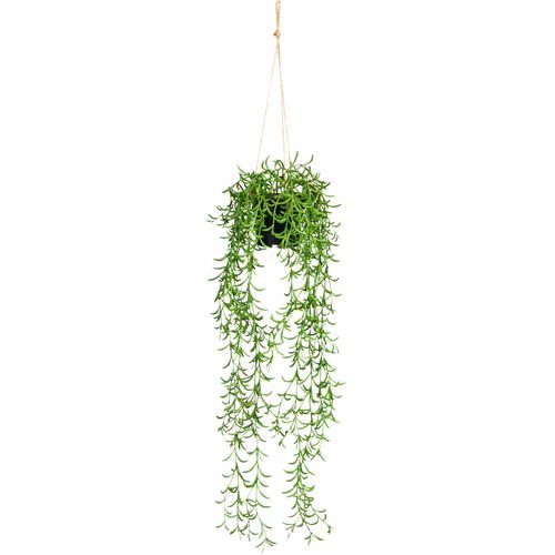 4064118842040 - Kunstranke CREATIV GREEN Nerifolia-Hänger Kunstpflanzen Gr B H 12 cm x 70 cm grün Kunst-Ranken im Hängetopf aus Kunststoff 4064118842040 - Kunstranke CREATIV GREEN Nerifolia-Hänger Kunstpflanzen Gr B H 12 cm x 70 cm grün Kunst-Ranken im Hängetopf aus Kunststoff