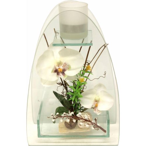 4019844577209 - Kunstpflanze IGEA Orchidee mit Teelichthalter 23 15 cm Kunstpflanzen Gr B H 15 cm x 23 cm 1 St weiß Kunstorchidee Kunstpflanze Zimmerpflanze Künstliche Zimmerpflanzen Kunstpflanzen 4019844577209 - Kunstpflanze IGEA Orchidee mit Teelichthalter 23 15 cm Kunstpflanzen Gr B H 15 cm x 23 cm 1 St weiß Kunstorchidee Kunstpflanze Zimmerpflanze Künstliche Zimmerpflanzen Kunstpflanzen