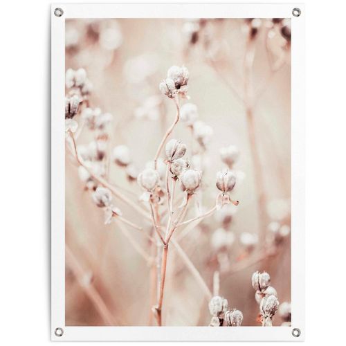 8714597628029 - Poster REINDERS Getrockneter Zweig beige (farbe bild(er) beige) B60cm H80cm T01cm Leinwand Bilder 8714597628029 - Poster REINDERS Getrockneter Zweig beige (farbe bild(er) beige) B60cm H80cm T01cm Leinwand Bilder