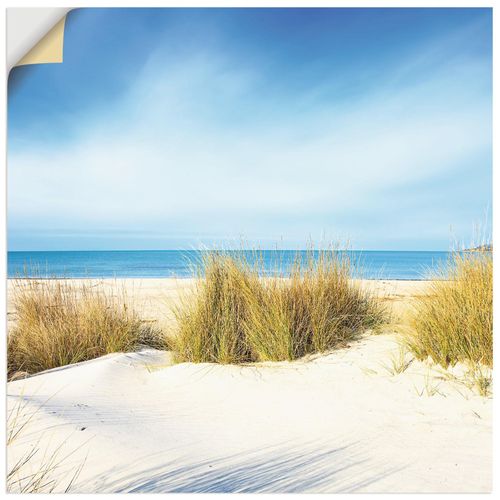 4062144005941 - Wandbild ARTLAND Gras auf Sanddünen Bilder Gr B H 70 cm x 70 cm Wandaufkleber - Vinyl Strand quadratisch 1 St blau Bild Poster Bilder als Alubild Leinwandbild Wandaufkleber oder in versch Größen 4062144005941 - Wandbild ARTLAND Gras auf Sanddünen Bilder Gr B H 70 cm x 70 cm Wandaufkleber - Vinyl Strand quadratisch 1 St blau Bild Poster Bilder als Alubild Leinwandbild Wandaufkleber oder in versch Größen