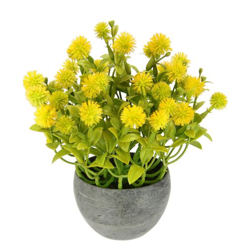 4019844794125 - Kunstpflanze IGEA Margerite im Topf Kunstpflanzen Gr B H L 20 cm x 23 cm x 20 cm 1 St gelb Weitere Weihnachtsdeko Künstliche Blumen Blütenbusch Busch Tischdeko Pflanze Kunstblumen Deko 4019844794125 - Kunstpflanze IGEA Margerite im Topf Kunstpflanzen Gr B H L 20 cm x 23 cm x 20 cm 1 St gelb Weitere Weihnachtsdeko Künstliche Blumen Blütenbusch Busch Tischdeko Pflanze Kunstblumen Deko