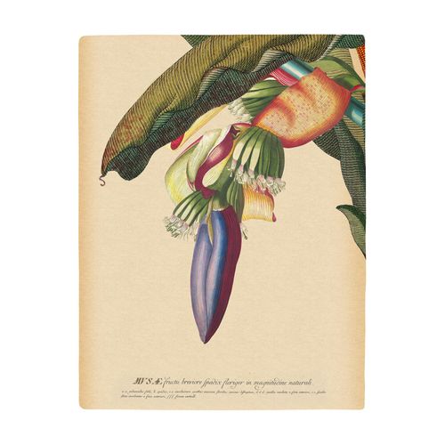 4055065178191 - Bild KOMAR Banana Heart bunt (farbe bild(er) bunt) B40cm H50cm Papier Holz Bilder Wandbild zur Dekoration - ohne Rahmen 4055065178191 - Bild KOMAR Banana Heart bunt (farbe bild(er) bunt) B40cm H50cm Papier Holz Bilder Wandbild zur Dekoration - ohne Rahmen