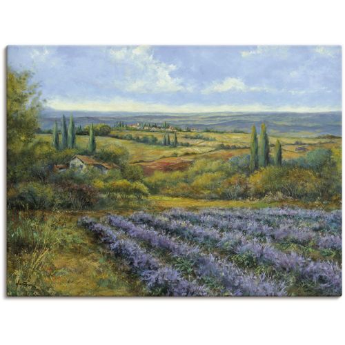 4055327151849 - Wandbild ARTLAND Lavendelfelder in der Provence Bilder Gr B H 80 cm x 60 cm Leinwandbild Europa 1 St blau Bild Leinwandbild Kunstdrucke Bilder als Alubild Leinwandbild Wandaufkleber oder Poster in versch Größen 4055327151849 - Wandbild ARTLAND Lavendelfelder in der Provence Bilder Gr B H 80 cm x 60 cm Leinwandbild Europa 1 St blau Bild Leinwandbild Kunstdrucke Bilder als Alubild Leinwandbild Wandaufkleber oder Poster in versch Größen