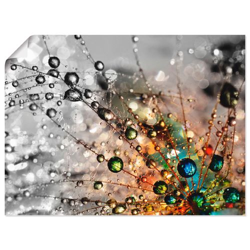 4059745926775 - Wandbild ARTLAND Farbenfrohe Natur Bilder Gr B H 80 cm x 60 cm Poster Blumen Querformat 1 St bunt Bild Poster Bilder als Alubild Leinwandbild Wandaufkleber oder in versch Größen 4059745926775 - Wandbild ARTLAND Farbenfrohe Natur Bilder Gr B H 80 cm x 60 cm Poster Blumen Querformat 1 St bunt Bild Poster Bilder als Alubild Leinwandbild Wandaufkleber oder in versch Größen