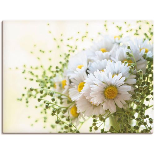 4055327885201 - Wandbild ARTLAND Gänseblümchen und Hofstaat Bilder Gr B H 80 cm x 60 cm Leinwandbild Blumen 1 St weiß Bild Kunstdruck Leinwandbild Kunstdrucke Bilder als Leinwandbild Wandaufkleber oder Poster in versch Größen 4055327885201 - Wandbild ARTLAND Gänseblümchen und Hofstaat Bilder Gr B H 80 cm x 60 cm Leinwandbild Blumen 1 St weiß Bild Kunstdruck Leinwandbild Kunstdrucke Bilder als Leinwandbild Wandaufkleber oder Poster in versch Größen