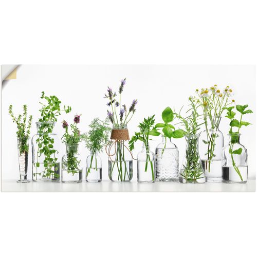 4062144598122 - Wandbild ARTLAND Öle mit Kräutern Bilder Gr B H 60 cm x 30 cm Wandaufkleber - Vinyl Kräuterbilder Querformat 1 St grün Kunstdrucke als Alubild Leinwandbild Wandaufkleber oder Poster in versch Größen 4062144598122 - Wandbild ARTLAND Öle mit Kräutern Bilder Gr B H 60 cm x 30 cm Wandaufkleber - Vinyl Kräuterbilder Querformat 1 St grün Kunstdrucke als Alubild Leinwandbild Wandaufkleber oder Poster in versch Größen