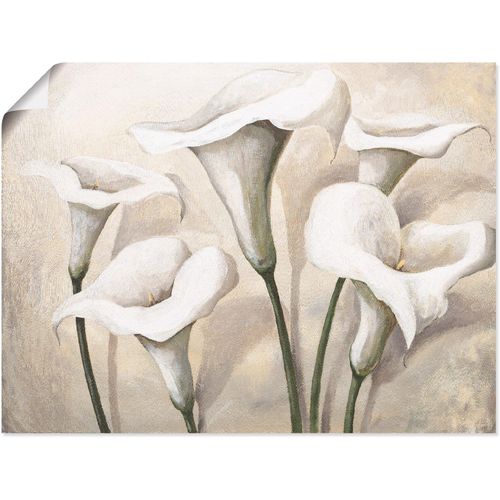4055327293600 - Wandbild ARTLAND Callas I Bilder Gr B H 80 cm x 60 cm Poster Blumen 1 St beige (naturfarben) Bild Leinwandbild Kunstdrucke Bilder als Alubild Leinwandbild Wandaufkleber oder Poster in versch Größen 4055327293600 - Wandbild ARTLAND Callas I Bilder Gr B H 80 cm x 60 cm Poster Blumen 1 St beige (naturfarben) Bild Leinwandbild Kunstdrucke Bilder als Alubild Leinwandbild Wandaufkleber oder Poster in versch Größen