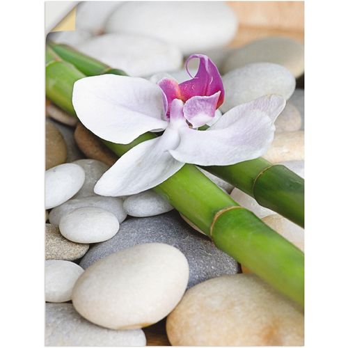 4057738843931 - Wandbild ARTLAND Zen Orchidee Bilder Gr B H 30 cm x 40 cm Wandaufkleber - Vinyl Zen Hochformat 1 St weiß Bild Poster Bilder als Alubild Leinwandbild Wandaufkleber oder in versch Größen 4057738843931 - Wandbild ARTLAND Zen Orchidee Bilder Gr B H 30 cm x 40 cm Wandaufkleber - Vinyl Zen Hochformat 1 St weiß Bild Poster Bilder als Alubild Leinwandbild Wandaufkleber oder in versch Größen