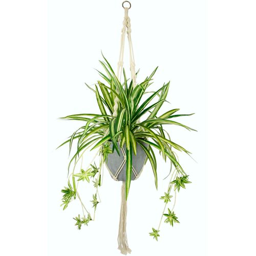 4019844747640 - Künstliche Zimmerpflanze IGEA Wasserlilie Kunstpflanzen Gr B H 45 cm x 95 cm 1 St grün (weiß grün) Künstliche Zimmerpflanze Kunstpflanze Zimmerpflanzen Kunstpflanzen im Kunststofftopf mit Hängeampel