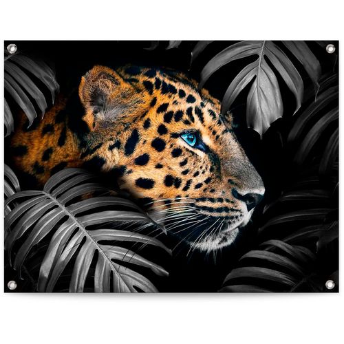 8714597628371 - Poster REINDERS Leopard bunt (farbe bild(er) bunt) B80cm H60cm T01cm Leinwand Bilder 8714597628371 - Poster REINDERS Leopard bunt (farbe bild(er) bunt) B80cm H60cm T01cm Leinwand Bilder